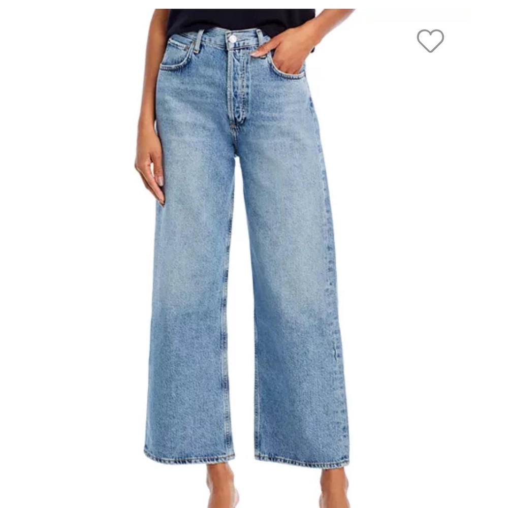 Agolde Ren High Rise Wide Leg Jeans in Disclosure